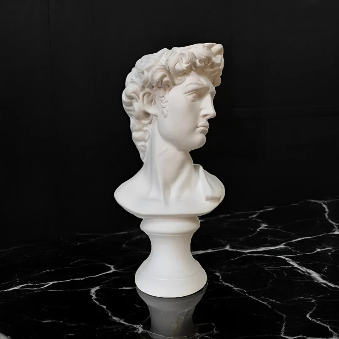 escultura-decorativa-estatua-david-busto-de-gesso-modernize-foto-frente-gesso